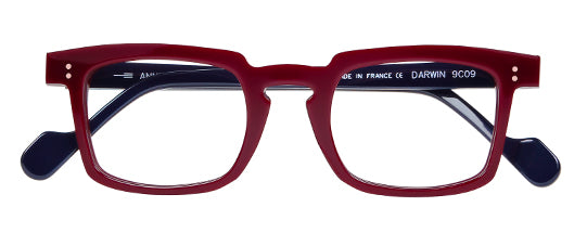 Anne et Valentin HYPERCUT DARWIN